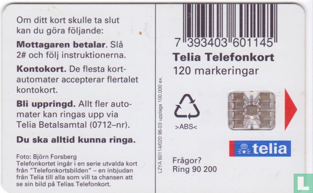 Järnvägsspår