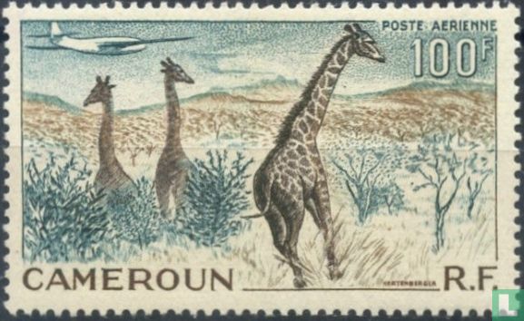 Giraffe in savanne
