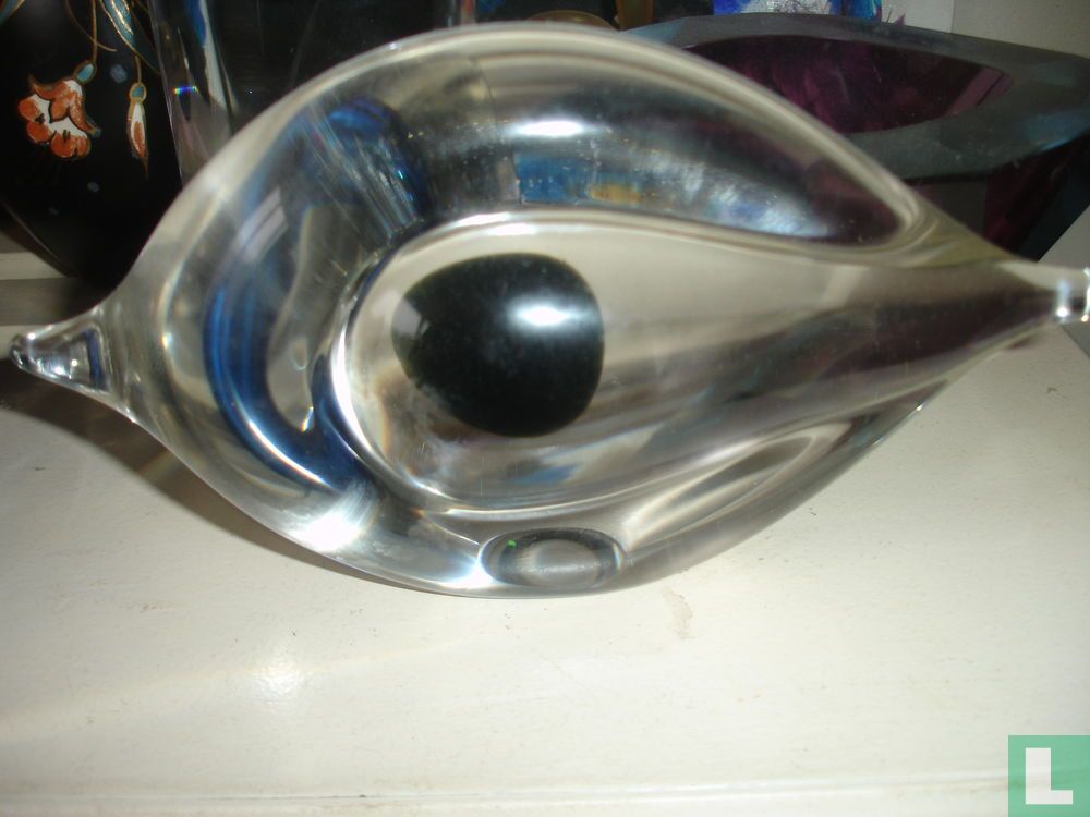 Oog
