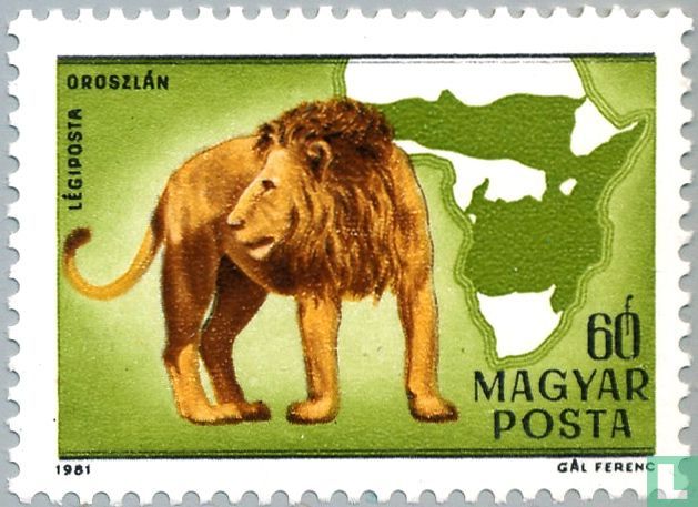 Lion