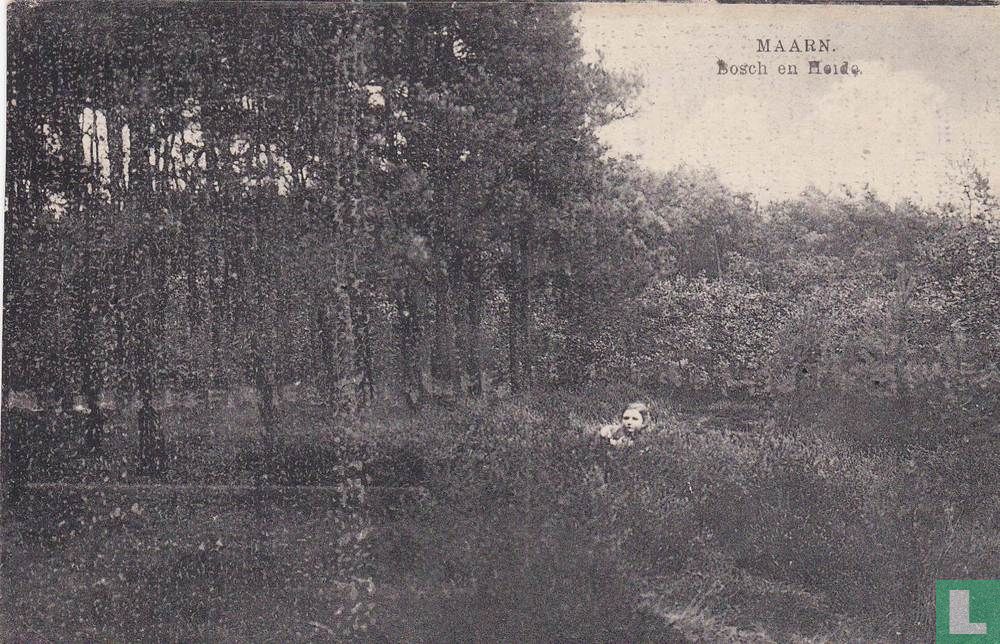 Bosch en Heide