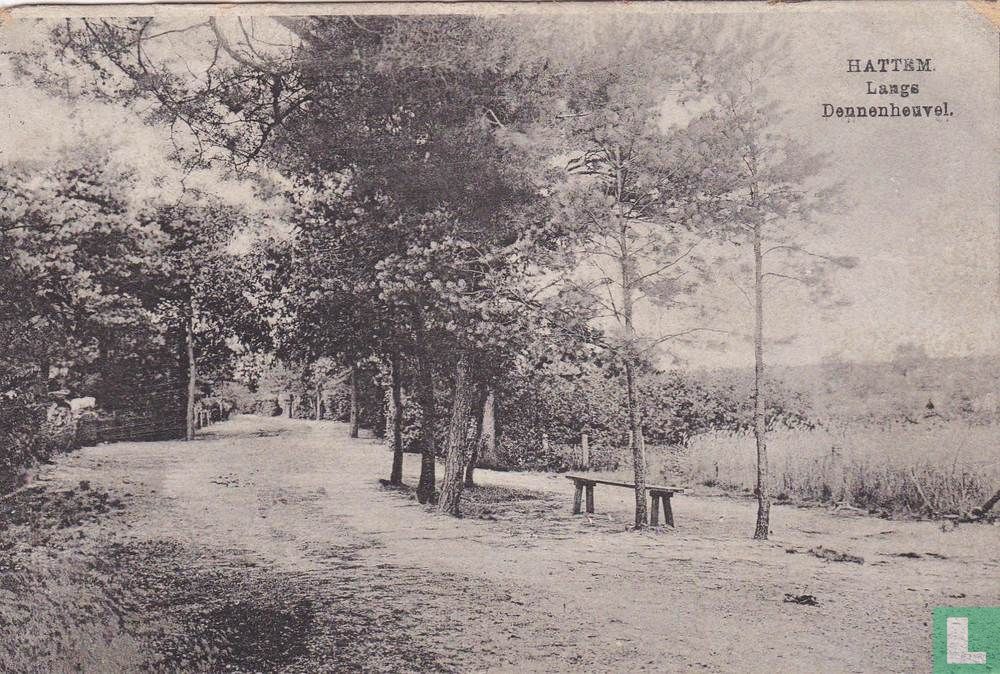 Langs Dennenheuvel