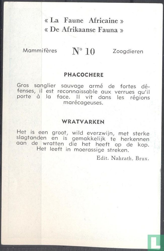 Wratvarken