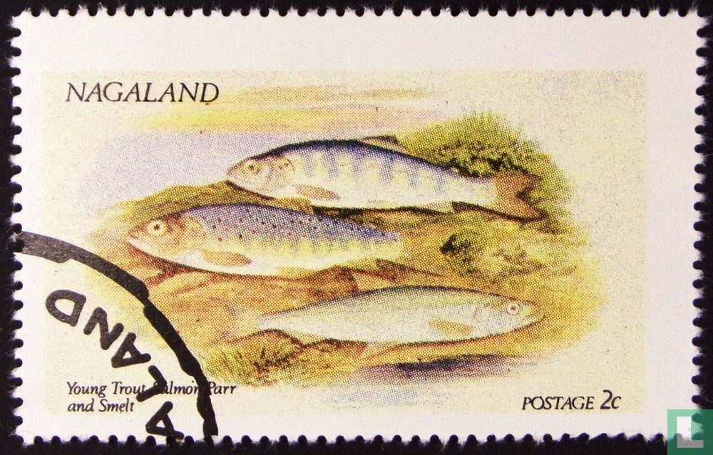 Vis