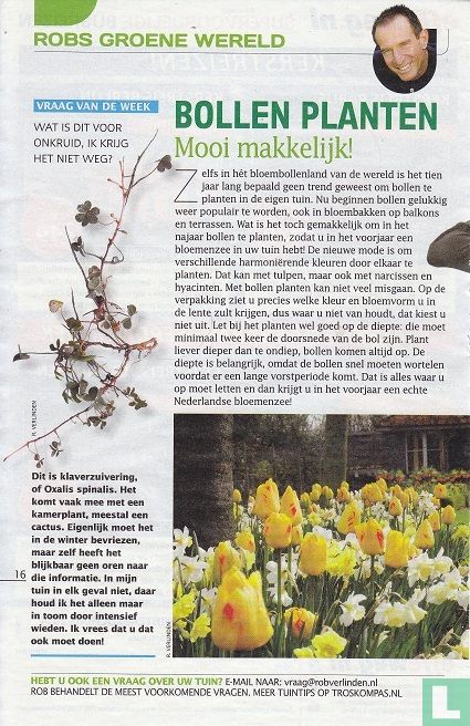 Bollen planten