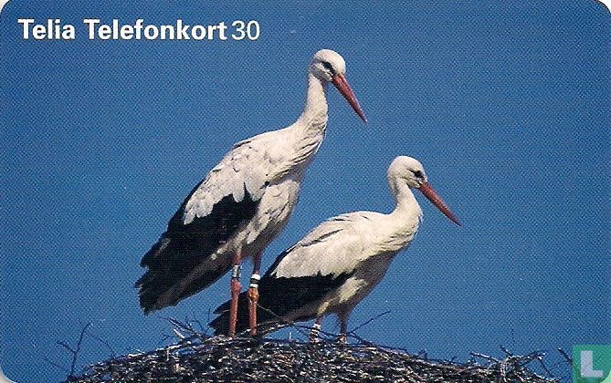 Storkar