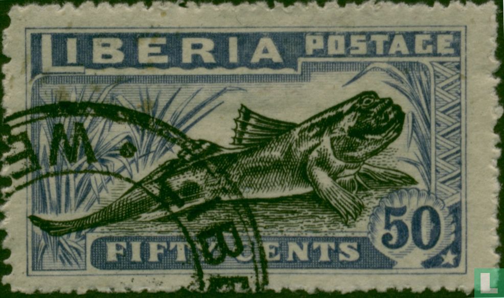 Périophthalme