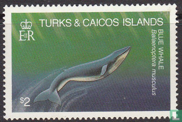 Whales