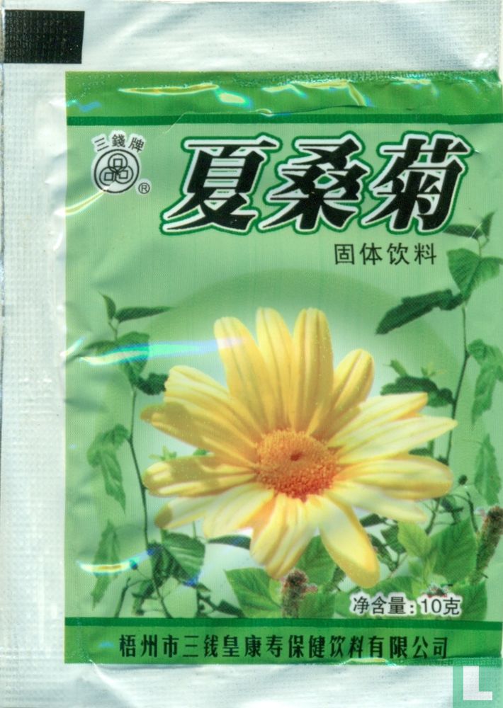 Chrysanthemum