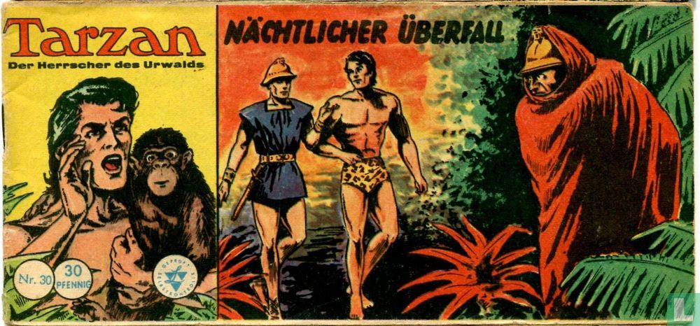 Nächtlicher Überfall