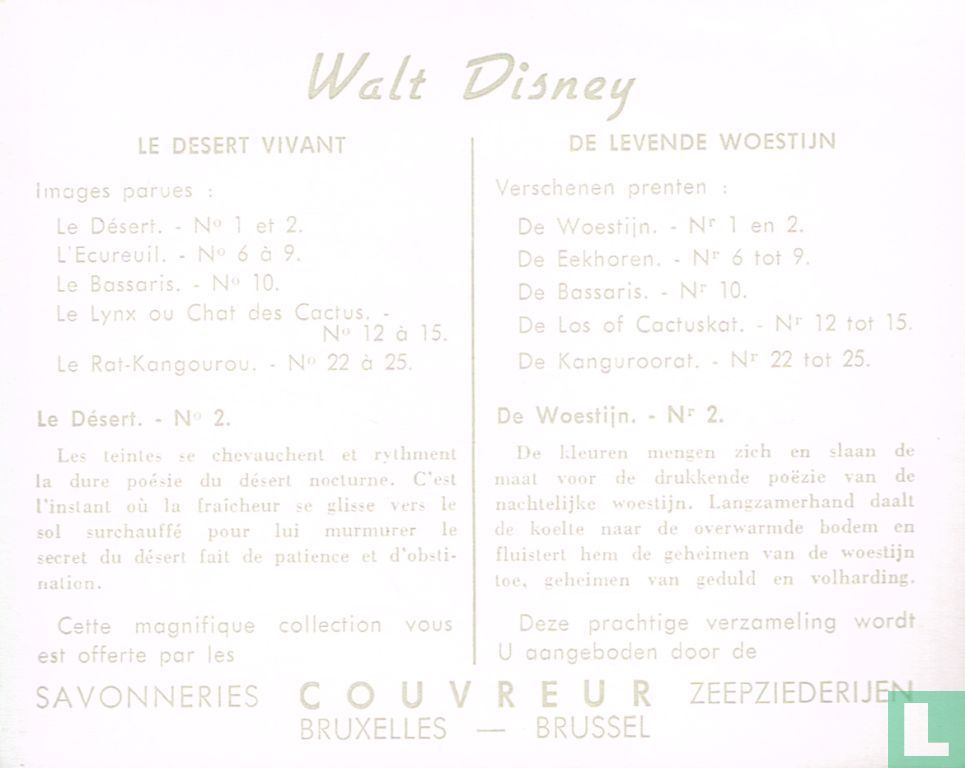De woestijn