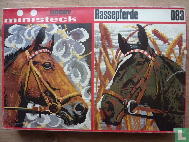 Rasse pferde