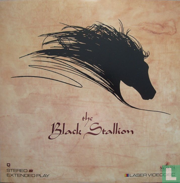 The Black Stallion