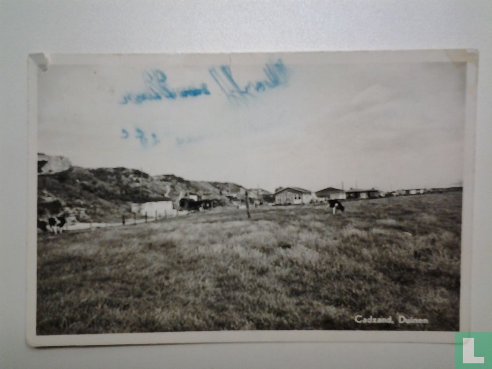 Cadzand,duinen