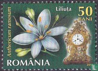Fleurs et horloges