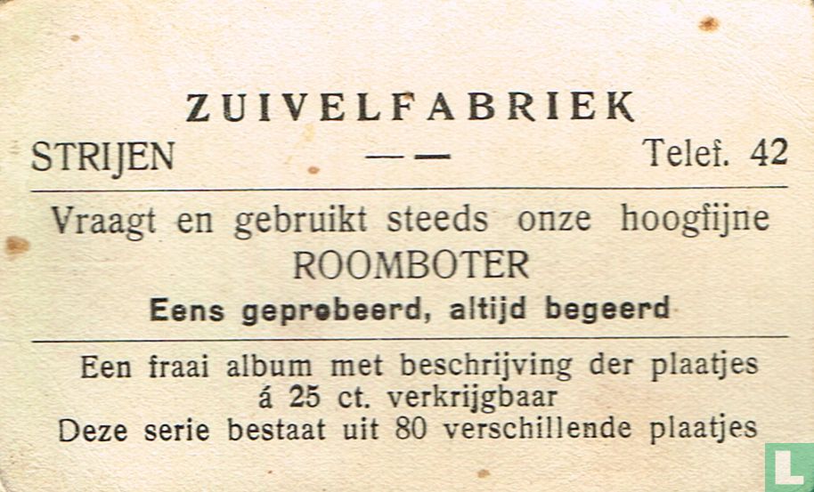 De brillenkoopman