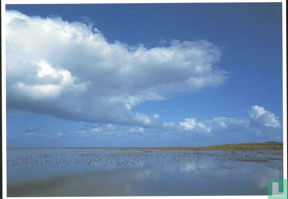 Vogelvrij / 2004