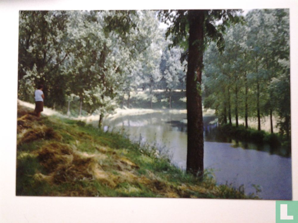 Hulst , Wallen
