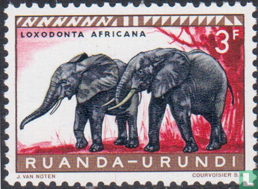 Elephants
