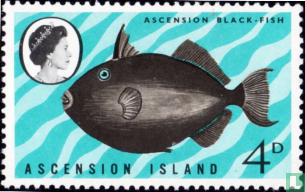 Fish
