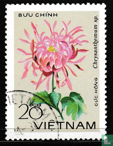 Chrysanthemen