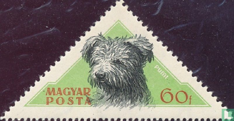 Dogs