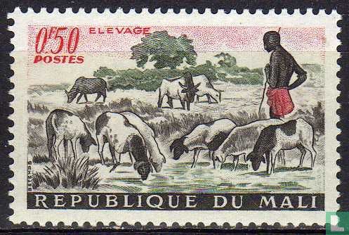 Cattle breeding