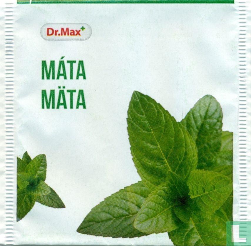 Máta