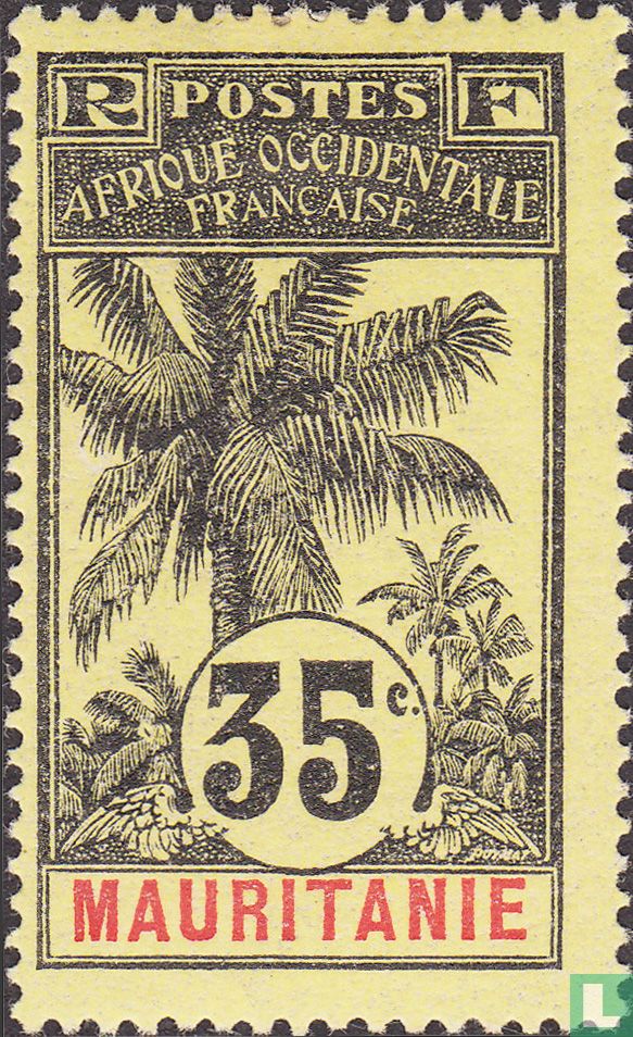 Palmboom