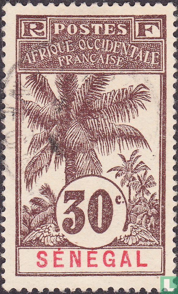 Palmboom