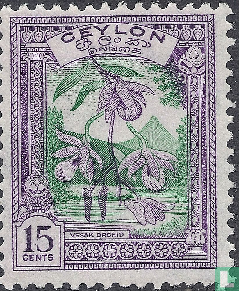 Wesak Orchid