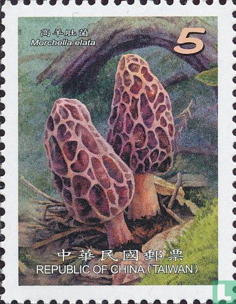 Champignons