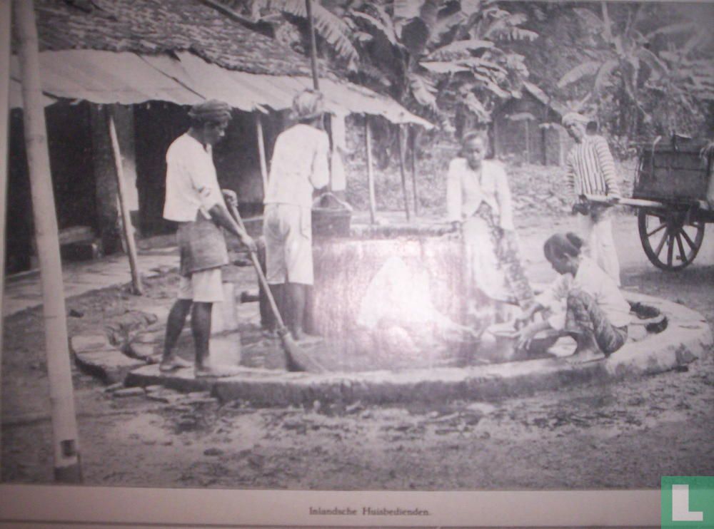 Wolanda-Hindia 2