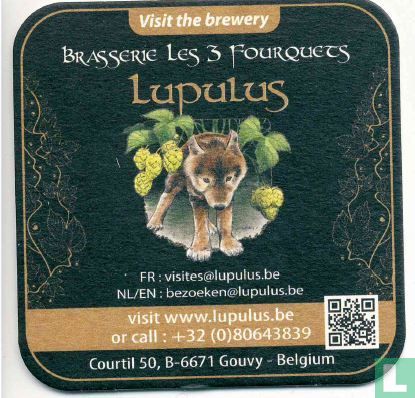 Visit the brewery