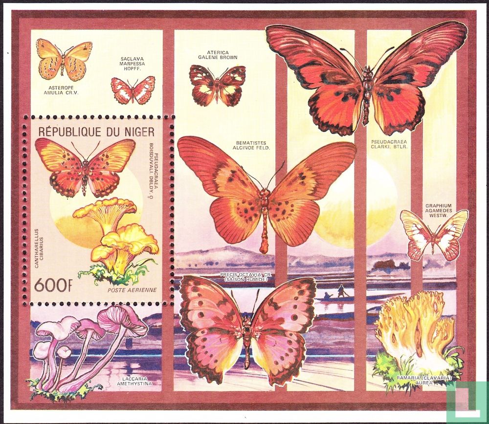Papillons et champignons