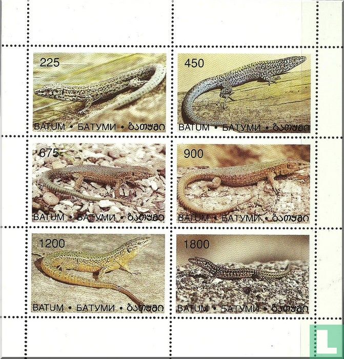 Reptiles