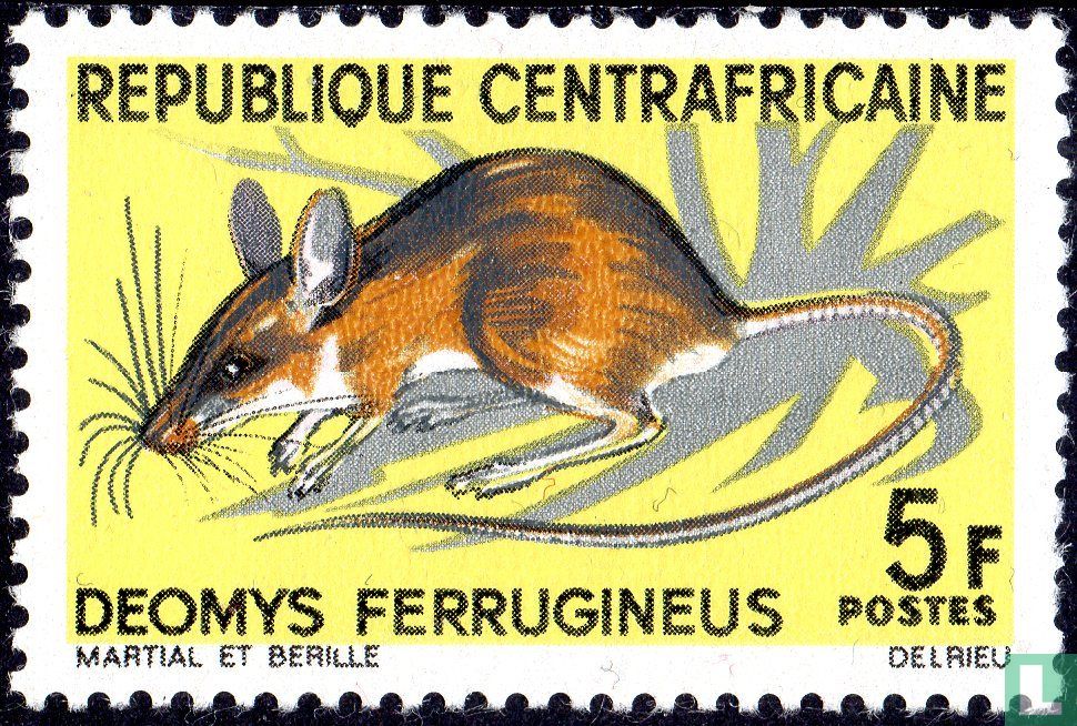 Rongeurs