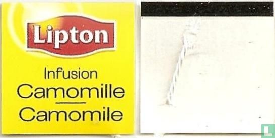 Camomile