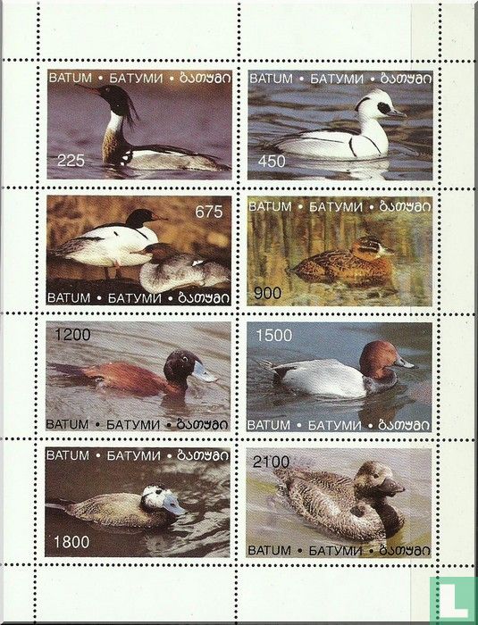 Ducks