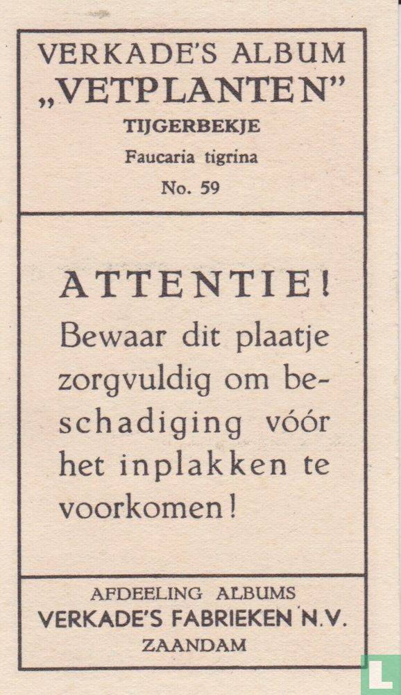Tijgerbekje