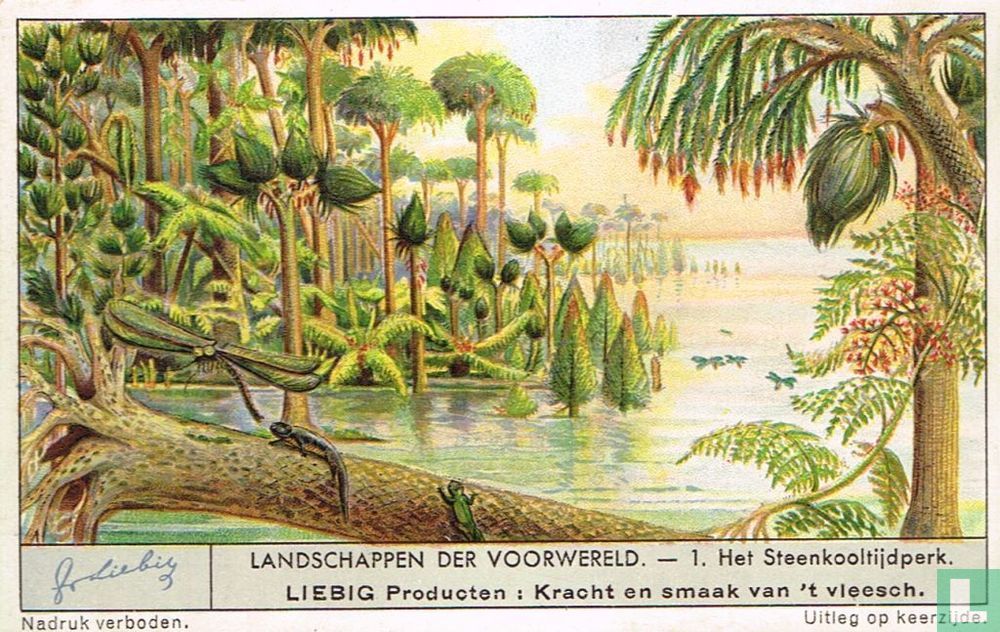 Het steenkooltijdperk