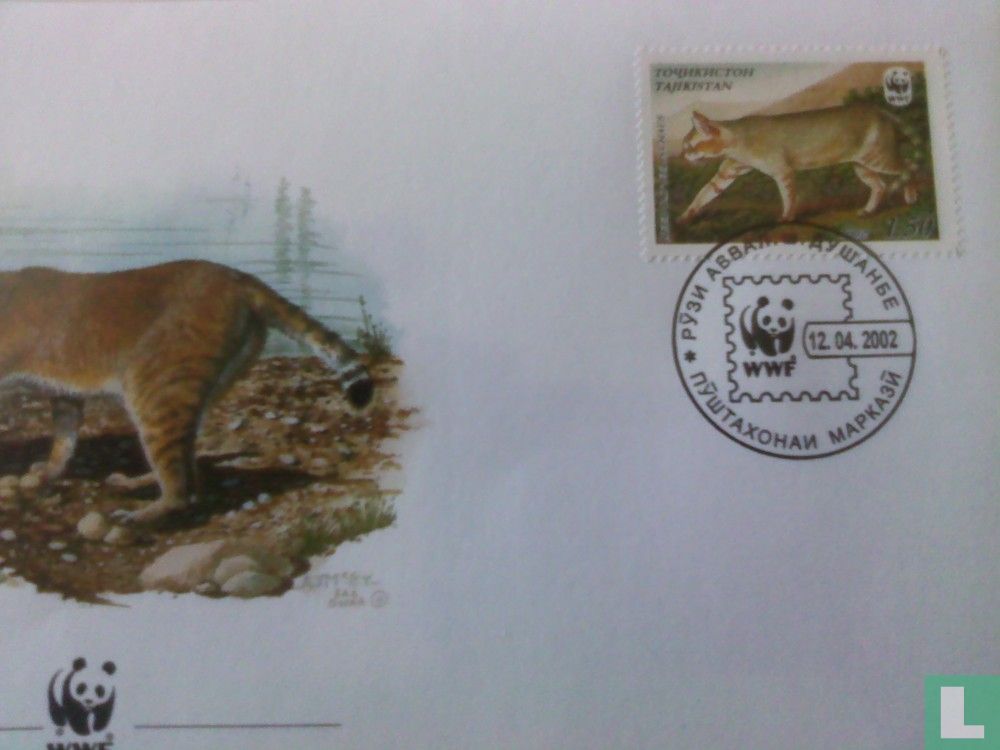 Jungle cat