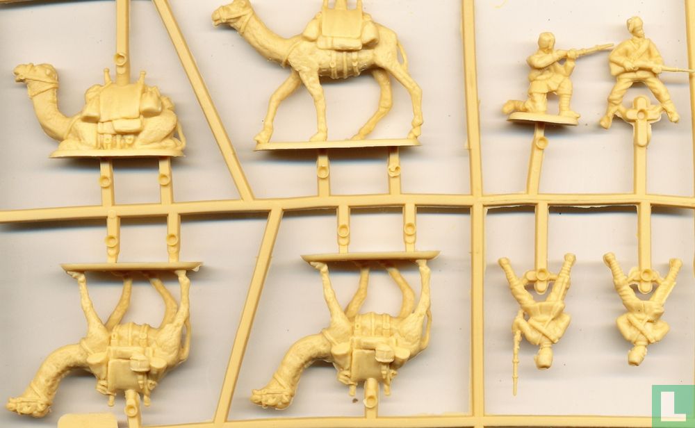 Egyptian Camel Corps