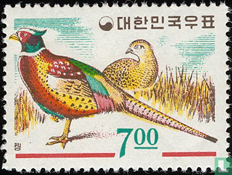Oiseaux  