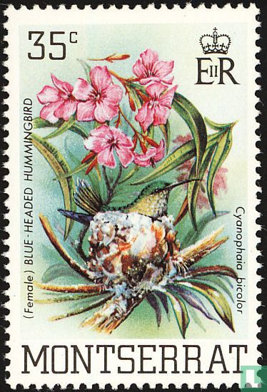 Birds 