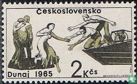 Flood disaster victims