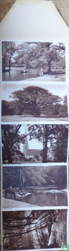 Chingford ,Connaught Waters . Epping Forest