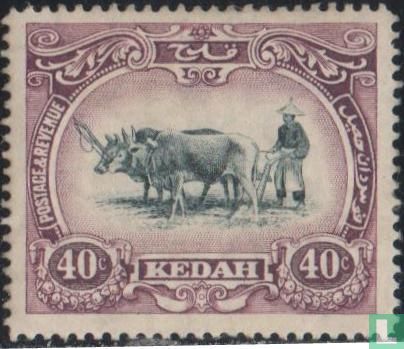 Plowing Malaysian