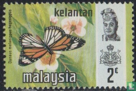 Papillons 