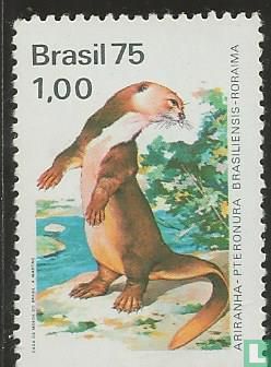 Nature Conservation